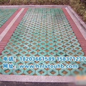 8����ֲ�ݴu