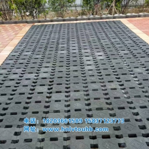 ������ֲ�ݴu