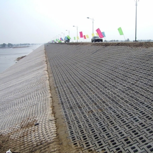 �͑�����