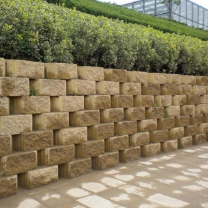 �͑�����