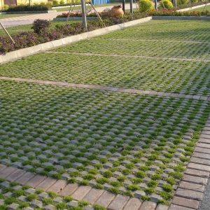 �͑�����