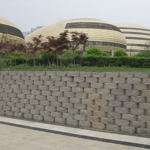 �͑�����