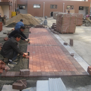 �͑�����