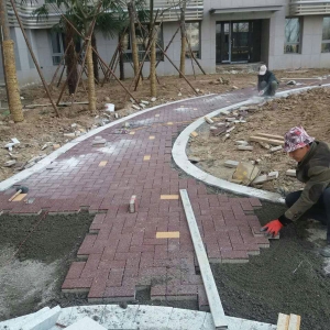 �͑�����