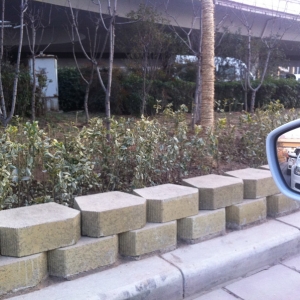 �͑�����