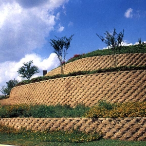 �͑�����