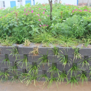 �͑�����