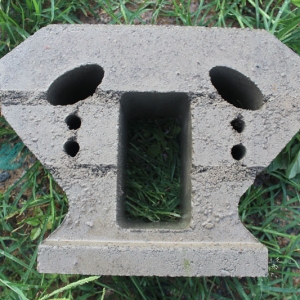 ������ϵ��