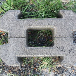 �o(h��)�´uϵ��