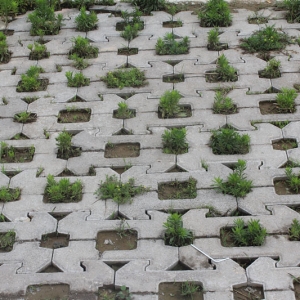 �o(h��)�´uϵ��