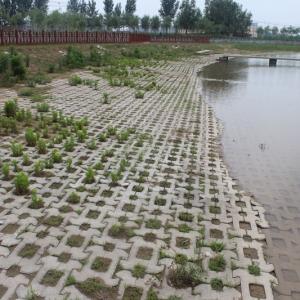 �o(h��)�´uϵ��