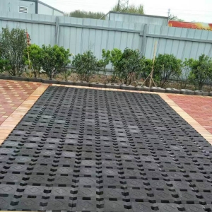 �͑�����