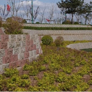 �͑�����