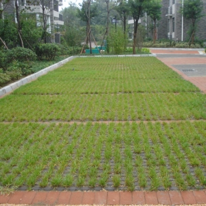 �͑�����