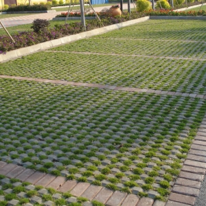 �͑�����