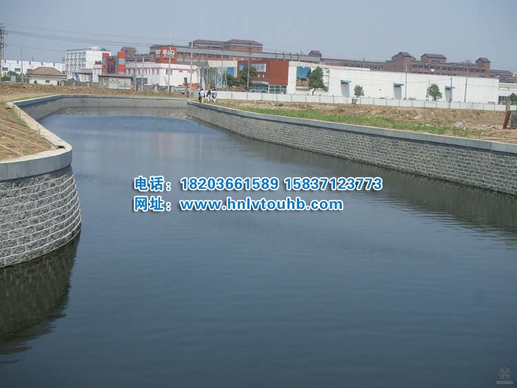 �͑�(h��)����