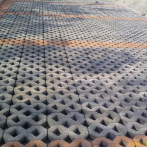 �͑�����