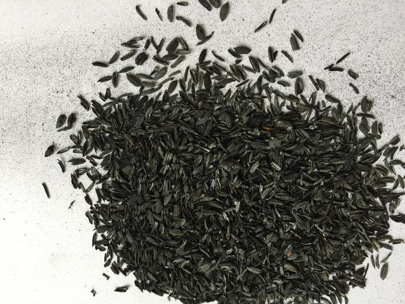 ̼�������S(ch��ng)��